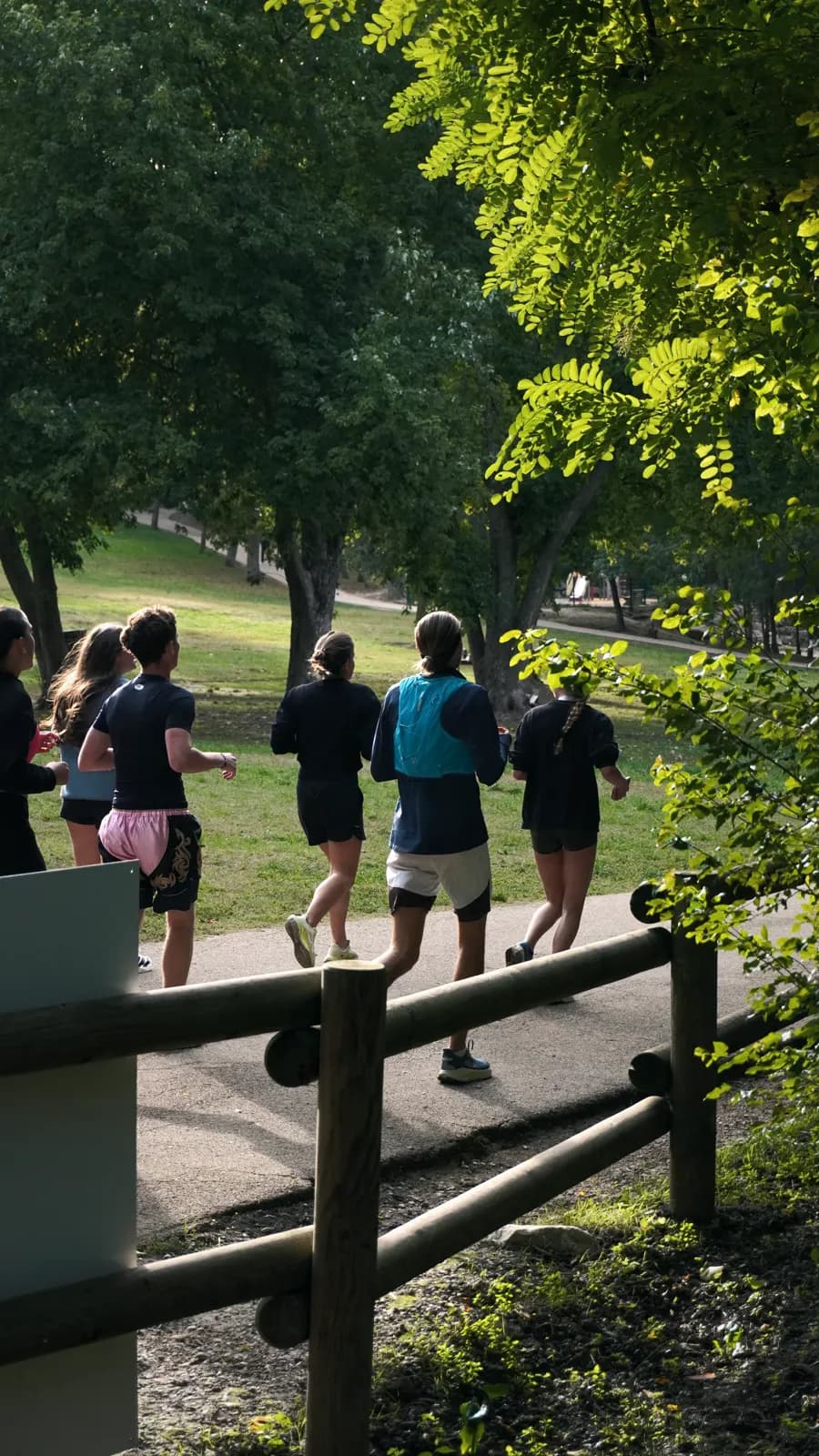 Le groupe file sur un chemin bordé d’une barrière en bois, sous les arbres